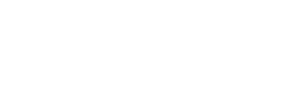 Pay with iyzico